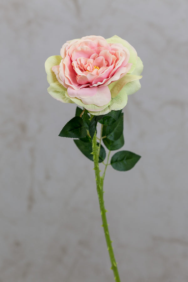 18" Garden Rose Stem Pink/Green - Casa Febus - Home • Design