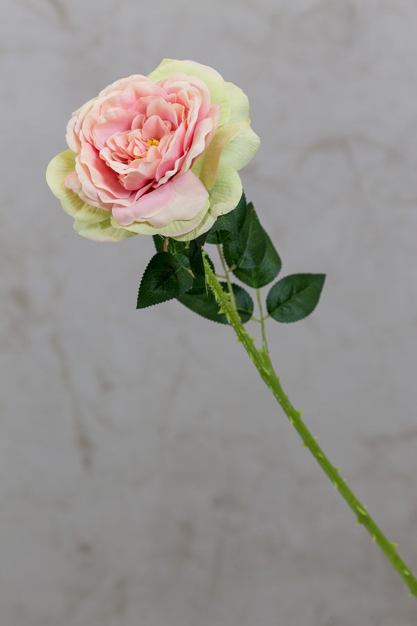 18" Garden Rose Stem Pink/Green - Casa Febus - Home • Design