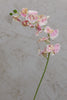 34" Phalaenopsis Orchid - Pink - Casa Febus - Home • Design